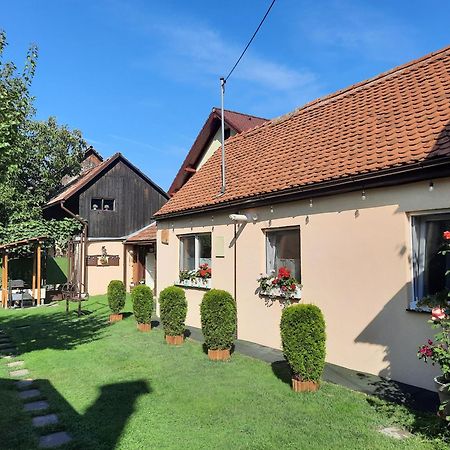 Casa Joy Vila Rîşnov Exterior foto